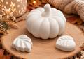 Herbst-Kreativset mit Gipsfiguren, Farbtöpfchen & Pinsel